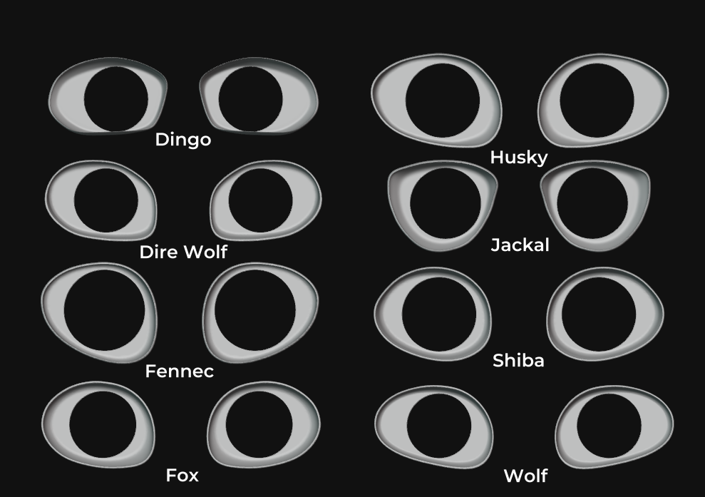 Fursuit Follow-Me Eye Cups - PLA, Print-to-Order