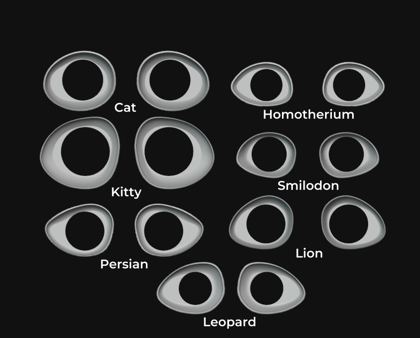 Fursuit Follow-Me Eye Cups - PLA, Print-to-Order